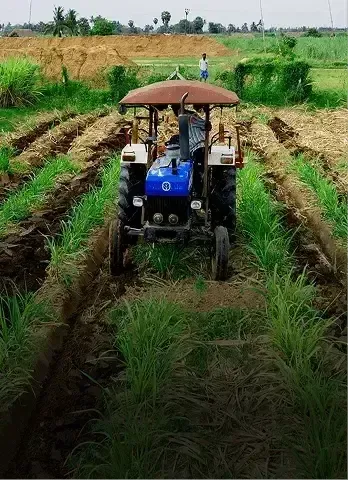 agriculture-card